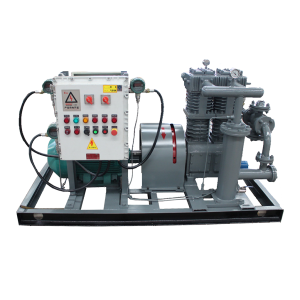 液化石油气和液化天然气压缩机