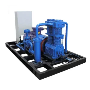 LPG Gas Pump