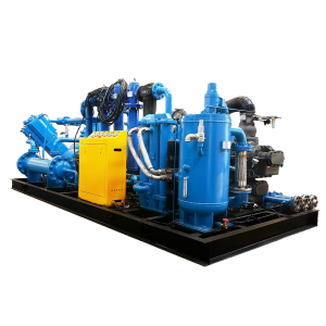 screw piston compressor(1)